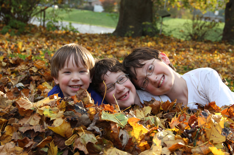 slideshow